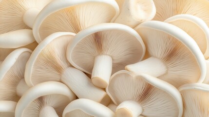 Wall Mural - A close up of white mushrooms with a brownish tinge. The mushrooms are arranged in a pile, with some overlapping each other. Concept of abundance and natural beauty, as the mushrooms are fresh