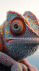 Wall Mural - Close-up of a chameleon's eye with colorful scales.