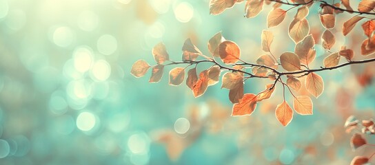  Golden Harvest Banner