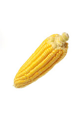 Wall Mural - Sweet Corn Isolated on White Background