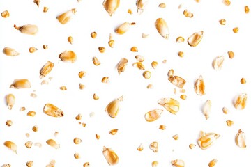 Canvas Print - Isolated yellow corn seeds falling on a white background. Organic grains flutter in the wind.