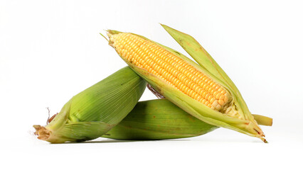 Wall Mural - Sweet Corn Isolated on White Background