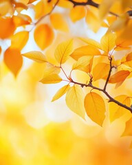 Wallpaper of autumn background