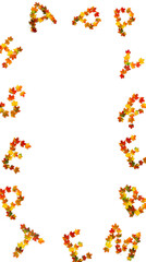 Wall Mural - september lettering text from of colorful autumnal maple leaves on white background with space for t