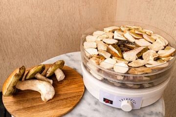 Wall Mural - Drying sliced ​​porcini mushrooms in an electric dryer.