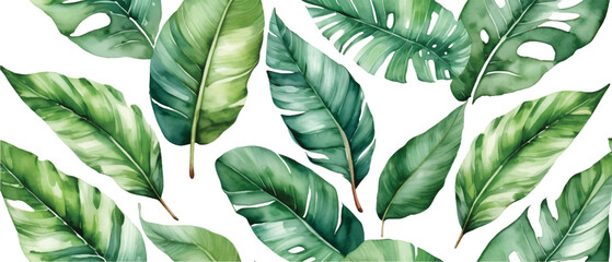 Banana leaves tropical pattern background4