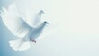 © Purichaya - A serene image of two white doves in flight, symbolizing peace and freedom against a soft, ethereal background.