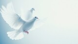 A serene image of two white doves in flight, symbolizing peace and freedom against a soft, ethereal background.