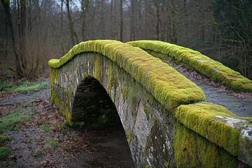  moss-covered stone bridge with a rounded arch, blending into a verdant, natural landscape