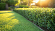 © ЮРИЙ ПОЗДНИКОВ - Beautiful garden with freshly cutted bushes and green grass illuminated by setting sun