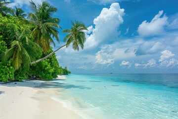 Luxurious tropical landscape. White sand with palm trees and azure sea. A heavenly place to relax. Beautiful exotic summer beach background for design.