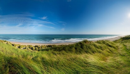 Sticker - waves of grass and seashore panorama