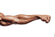 © Александр Довянский - muscular male arm with clenched fist isolated on transparent background