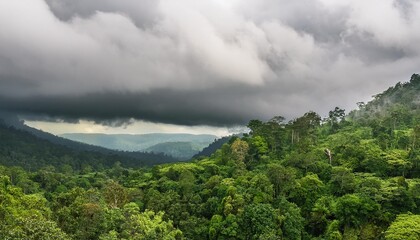 Canvas Print - tropical mystique a landscape of lush green forest trees shrouded by dark clouds creating an atmosphere of enigmatic beauty