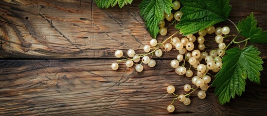 Aufkleber - Top view of white currant berries and green leaf arranged on a wooden table with a designated area for text in the image. Creative banner. Copyspace image
