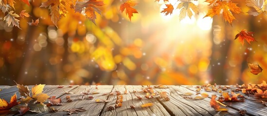 Aufkleber - Nature background featuring autumn leaves on a wooden plank with copy space image