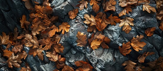 Sticker - Image with copy space featuring dried leaves clinging to a rocky mountain slope