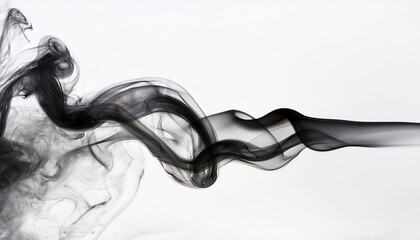 Canvas Print - black ink smoke art on white background creating an elegant and abstract visual effect