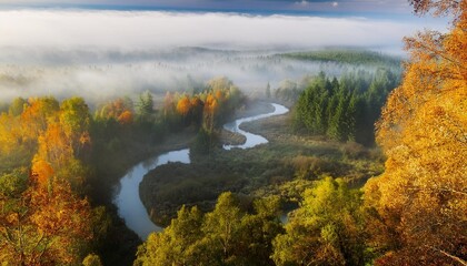 Sticker - misty forest in autumn beautiful nature scenery green trees and meandering rivers the scene of beautiful forest in the fall foggy magical natural environment