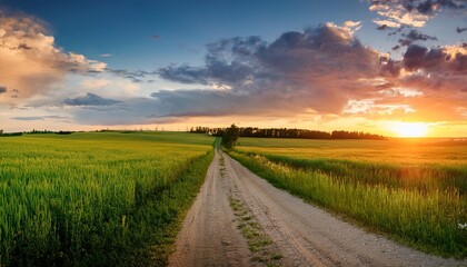 Wall Mural - beautiful summer rural landscape panorama of summer green field with empty road and sunset cloudy sky