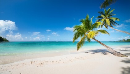 Poster - perfect tropical beach landscape vacation holidays background