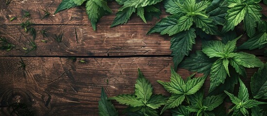 Aufkleber - Organic nettle on a wooden table with copy space image