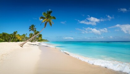 Wall Mural - caribbean beach in dominican republic