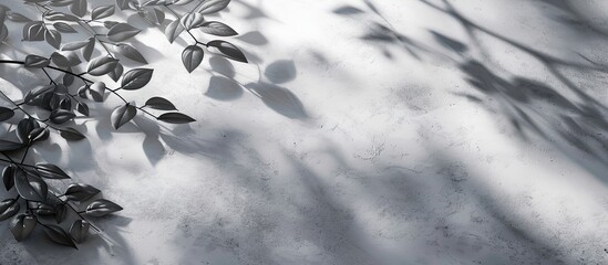 Poster - White concrete surfaces with leaf and branch shadows creating a natural pattern of light gray shadows in the background leaving room for an image. Creative banner. Copyspace image