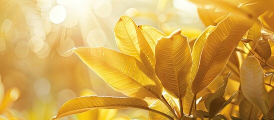 Aufkleber - Vibrant yellow leaves in a garden setting with fresh morning light creating a picturesque scene perfect for a copy space image