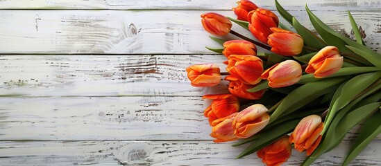 Canvas Print - Vibrant tulip bunch displayed on weathered white wooden backdrop Ideal for Easter themed visuals with room for text or images. Creative banner. Copyspace image