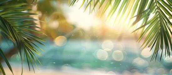 Poster - Sunlight glistening on palm tree leaves with a blurred sea background perfect for product displays or decorations utilizing the copy space image