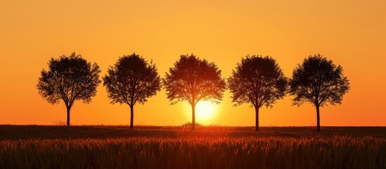 Poster - Silhouetted trees against a sunset with a blank area for additional content like a copy space image