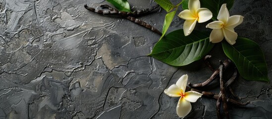 Aufkleber - Top view of vanilla pods leaves and flowers on a textured grey table with a designated area for text in the image. Creative banner. Copyspace image