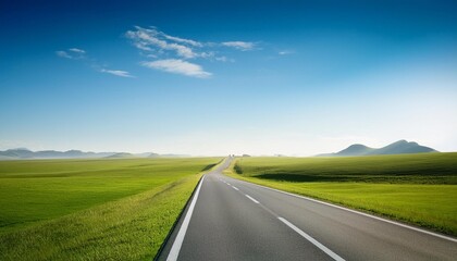 Wall Mural - vertical highway against a clear sky with clean grasslands on both sides free of obstacles