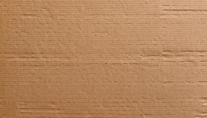 Wall Mural - cardboard texture background panorama