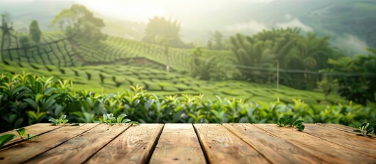 Poster - Wooden table with a blurred tea plantation backdrop creating a copy space image for displaying tea products along with the scenic farm view