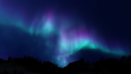 Wall Mural - colorful northern lights over starry night sky