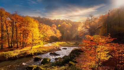 autumn forest nature landscapes surroundings of scenery of autumn forest