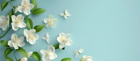 Aufkleber - Light blue background with lovely jasmine flowers ideal for text placement copy space image