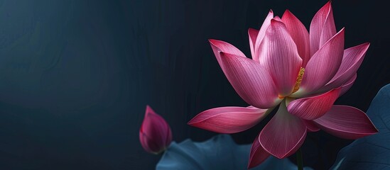 Vibrant deep pink lotus flower beautifully captured in a portrait with copy space image