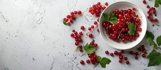 Wall Mural - Top down view of a bowl on a white table containing fresh red currants and leaves with ample copy space image available