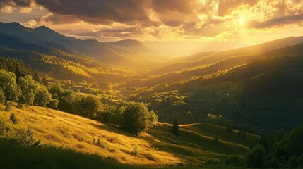 Wall Mural - Breathtaking view of verdant mountains bathed in golden sunlight, creating a stunning scene in the Carpathian National Park, Ukraine.