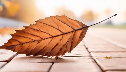 Wall Mural - lonely dry autumn leaf