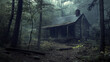 © ChristacilinCreative - A dilapidated old broken down cabin in the woods Halloween feel