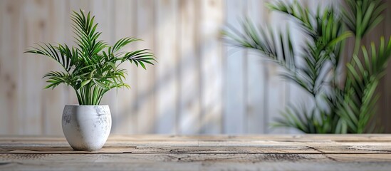Poster - A Callisia houseplant sits on an antique wooden table with room for text reflecting home gardening and minimalist decor. Creative banner. Copyspace image