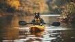 © creativeideh - Dog Kayaking in Autumn River