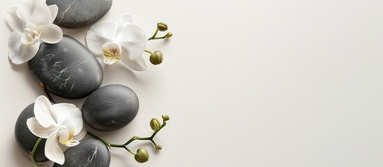 Sticker - Spa stones and orchid flowers on white background providing serene ambiance for a copy space image