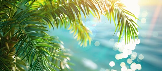 Poster - Sunlight glistening on palm tree leaves with a blurred sea background perfect for product displays or decorations utilizing the copy space image