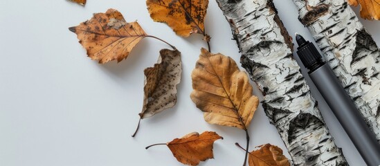 Canvas Print - Close up image showcasing a highlighter leaves and tree bark set against a white background with copy space image