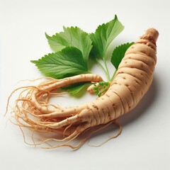 Wall Mural - Ginseng